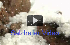 Salzheiler Video